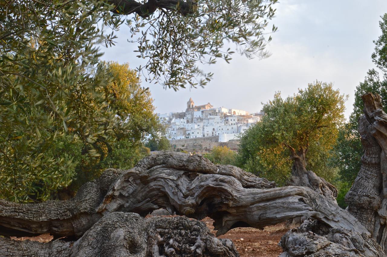 Casa Campari Ostuni Exterior foto